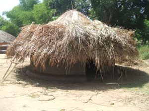 Grass Thatched Hut 1