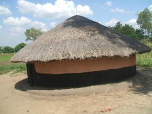 Grass Thatched Hut 2