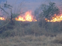Wildfire at Kidepo Valley National Park - Uganda