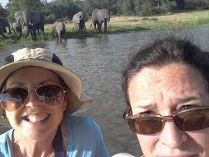 Selfie with elephants!