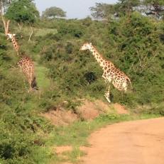 13347005_10209194072630821_3251325160264071886_n