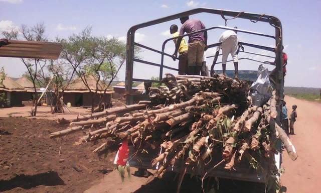 received_1926239554261742